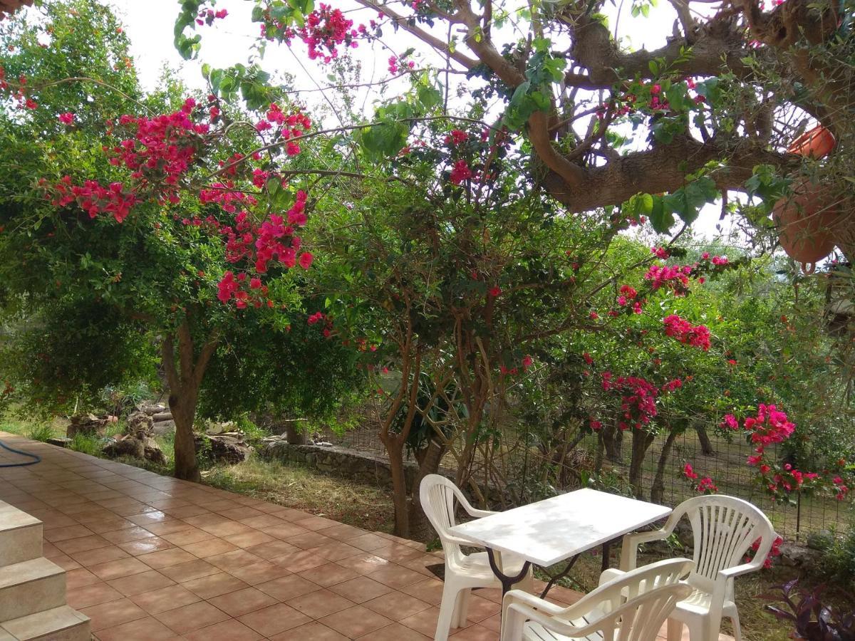 Ktima Tzamika Daire Episkopi-Chania Dış mekan fotoğraf