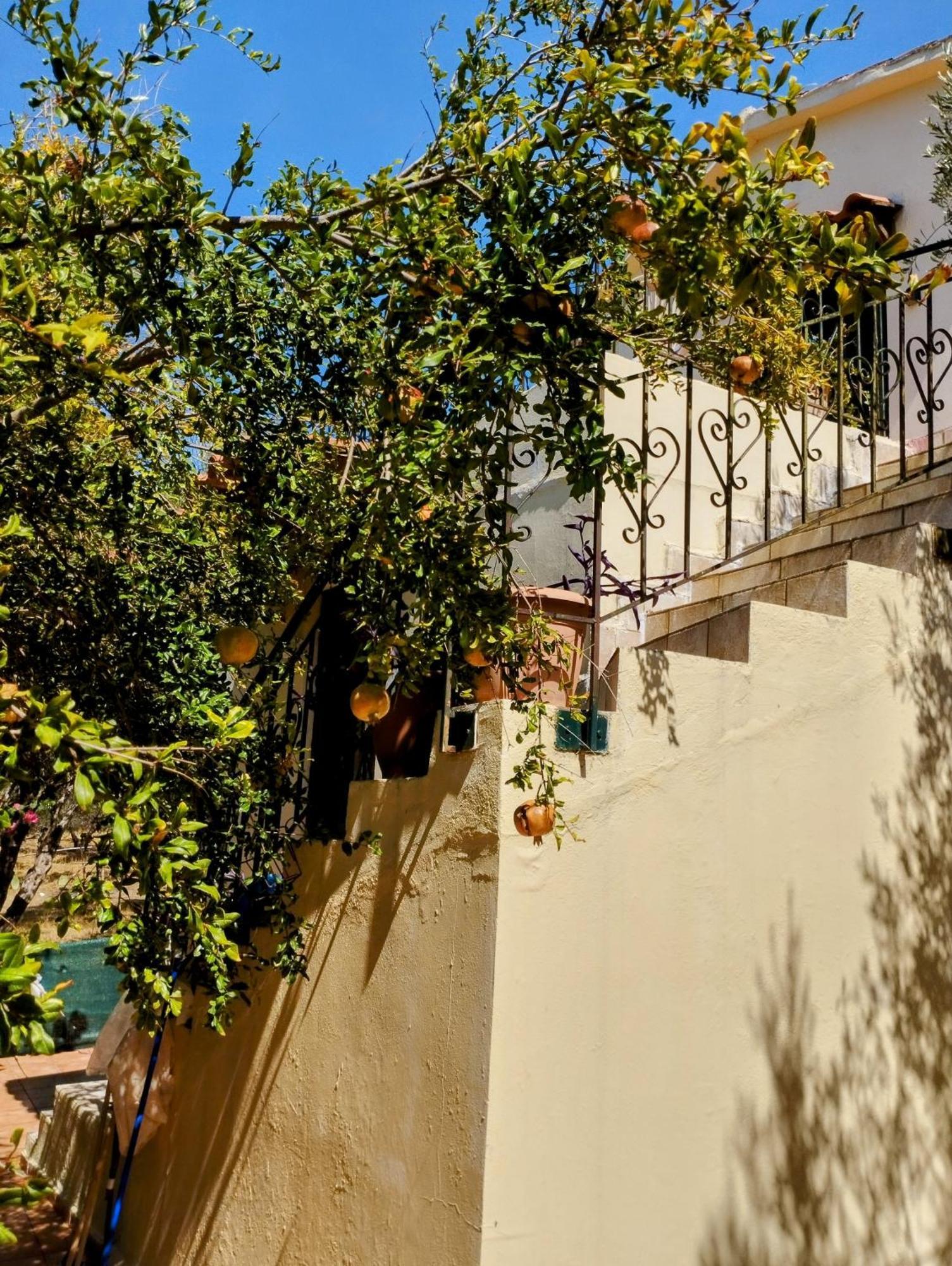 Ktima Tzamika Daire Episkopi-Chania Dış mekan fotoğraf