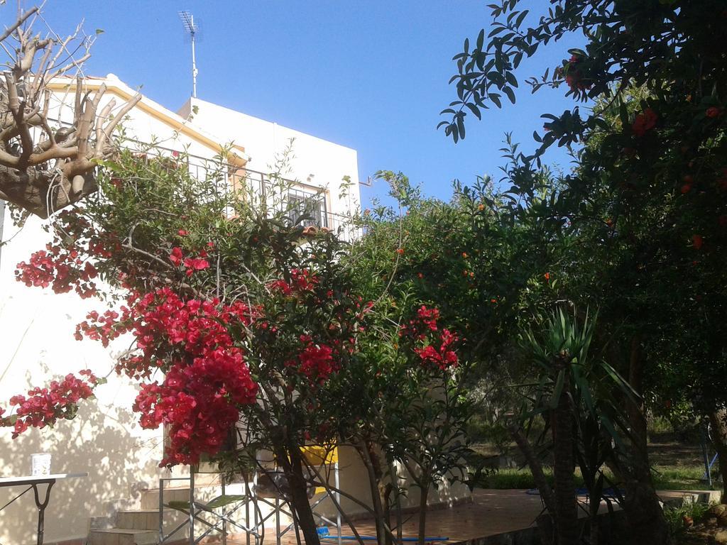 Ktima Tzamika Daire Episkopi-Chania Dış mekan fotoğraf