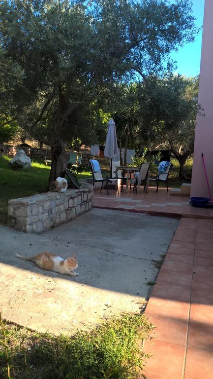 Ktima Tzamika Daire Episkopi-Chania Dış mekan fotoğraf