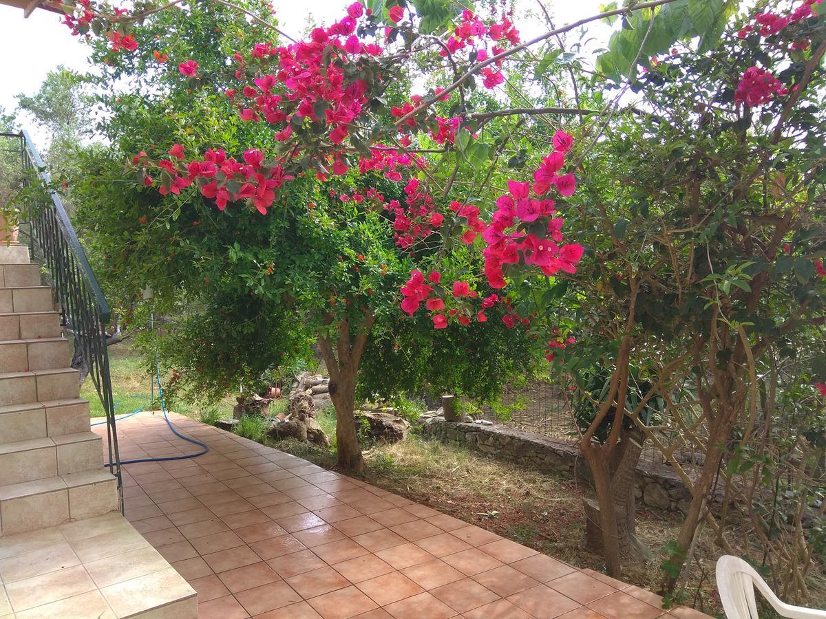 Ktima Tzamika Daire Episkopi-Chania Dış mekan fotoğraf