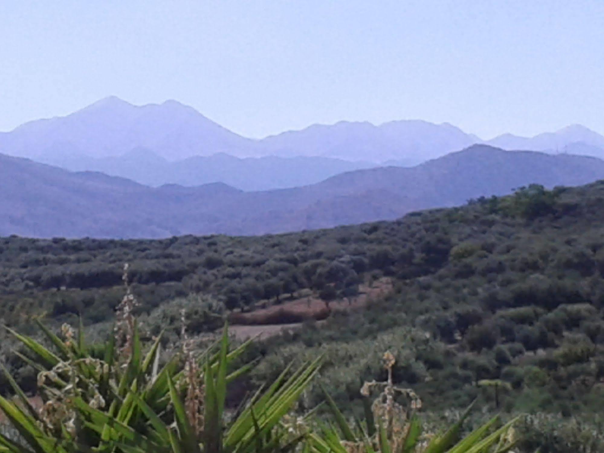Ktima Tzamika Daire Episkopi-Chania Dış mekan fotoğraf