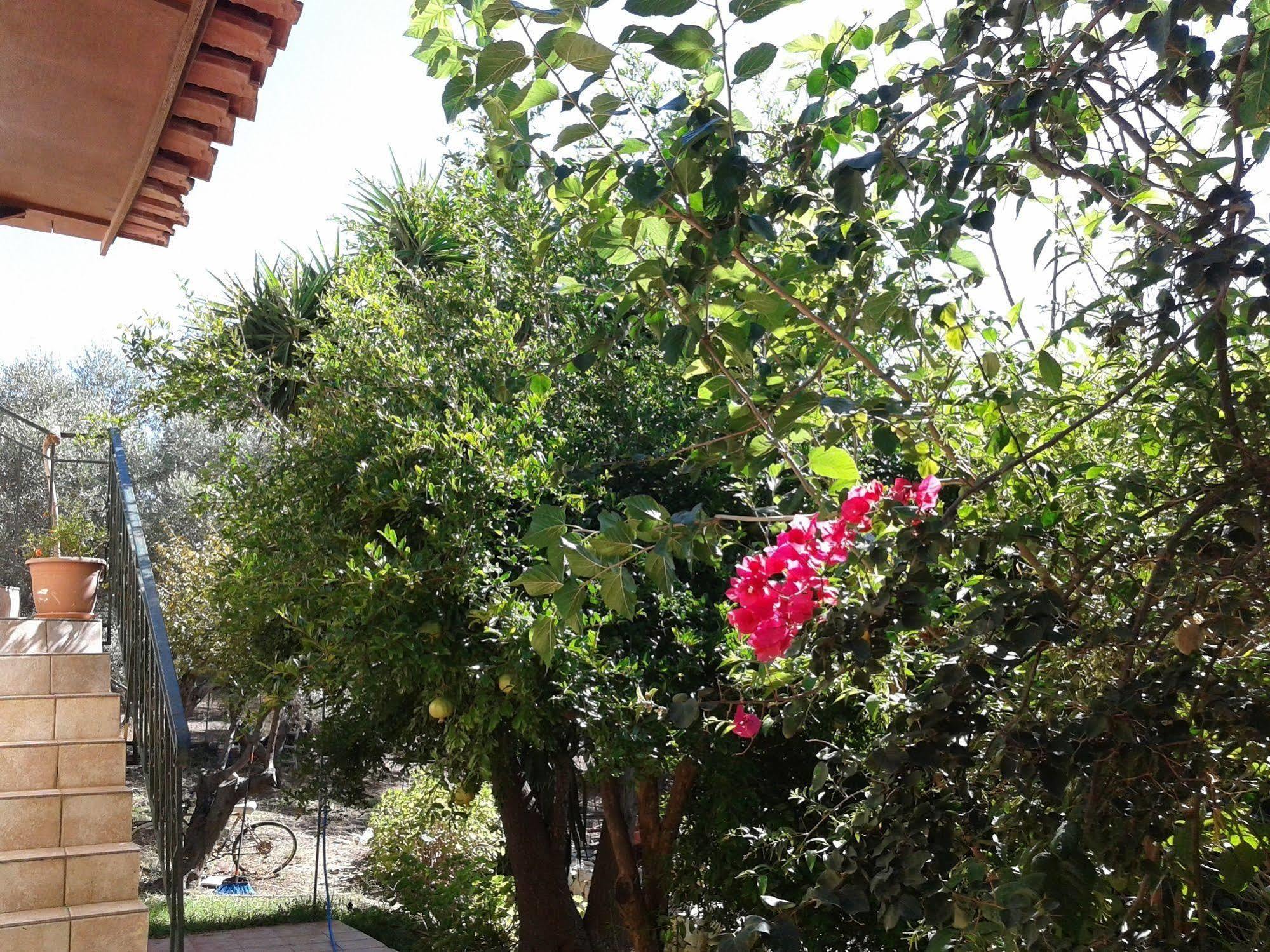 Ktima Tzamika Daire Episkopi-Chania Dış mekan fotoğraf