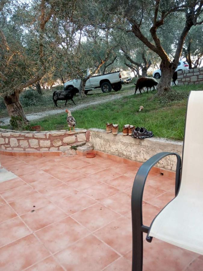 Ktima Tzamika Daire Episkopi-Chania Dış mekan fotoğraf