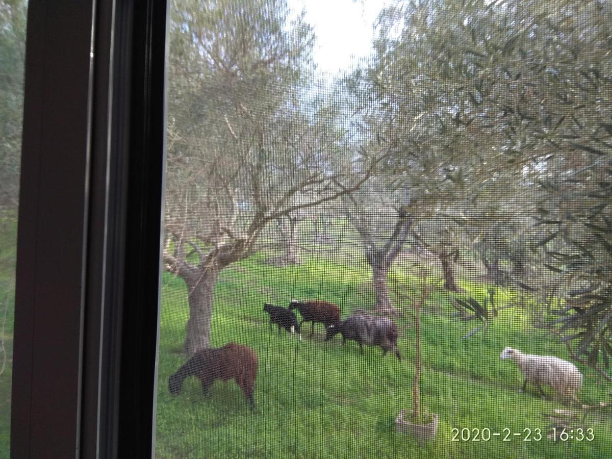 Ktima Tzamika Daire Episkopi-Chania Dış mekan fotoğraf
